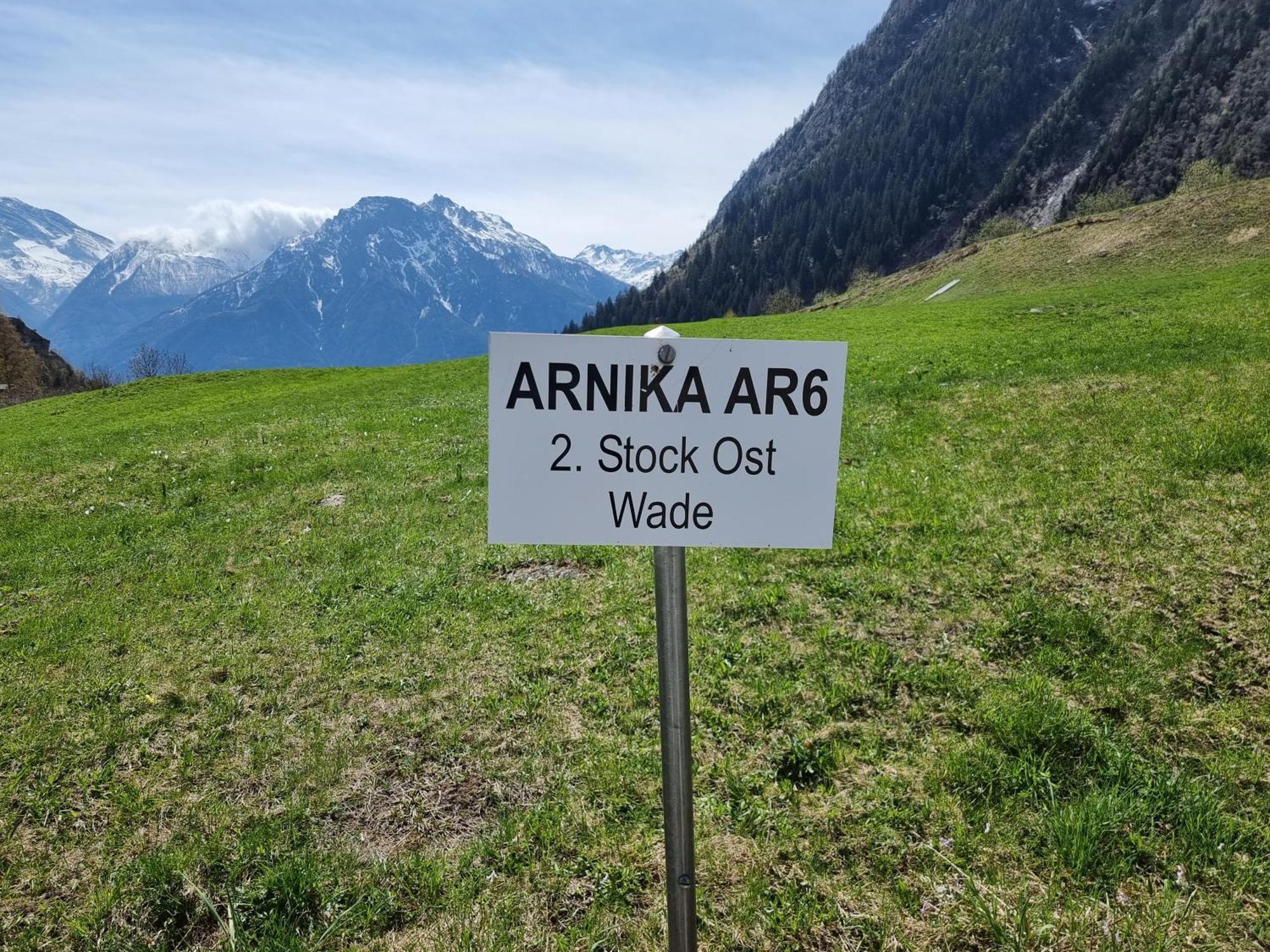 Arnika Lägenhet Blatten bei Naters Rum bild