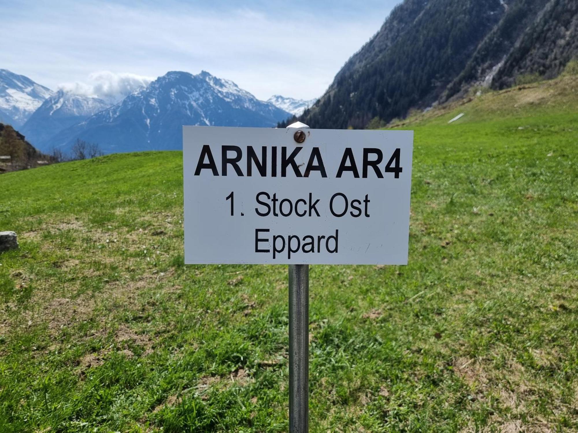 Arnika Lägenhet Blatten bei Naters Rum bild